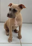 Luna e kalebe