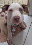 Luna e kalebe