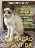 Nomes variados são varios