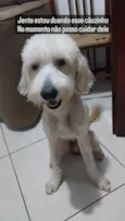BRANQUINHO