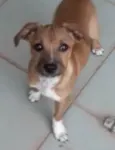 Léo 