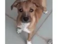 Léo 