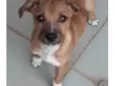 Léo 