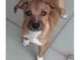 Léo 