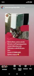 GRATIFICA - Sim
