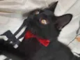 Bebezinho.