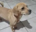 Luke 