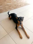 Rambo