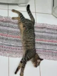 Vicky