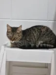Vicky