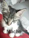 Não tem 
