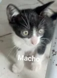 Não tem 