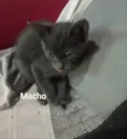 Não tem 