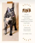 NINA