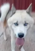 Eros 