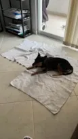 Desconhecido