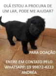 a escolher