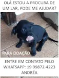a escolher