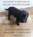 a escolher