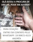 a escolher