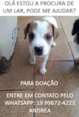 a escolher