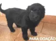 a escolher
