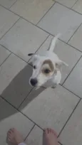 Bella