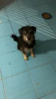 não tem nome