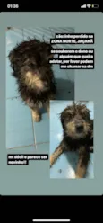 não tem nome