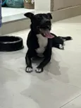 Mimi