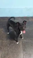 Mimi