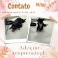Mimi