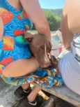 Vida Maria