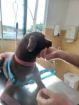 Vida Maria