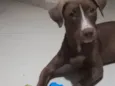 Vida Maria