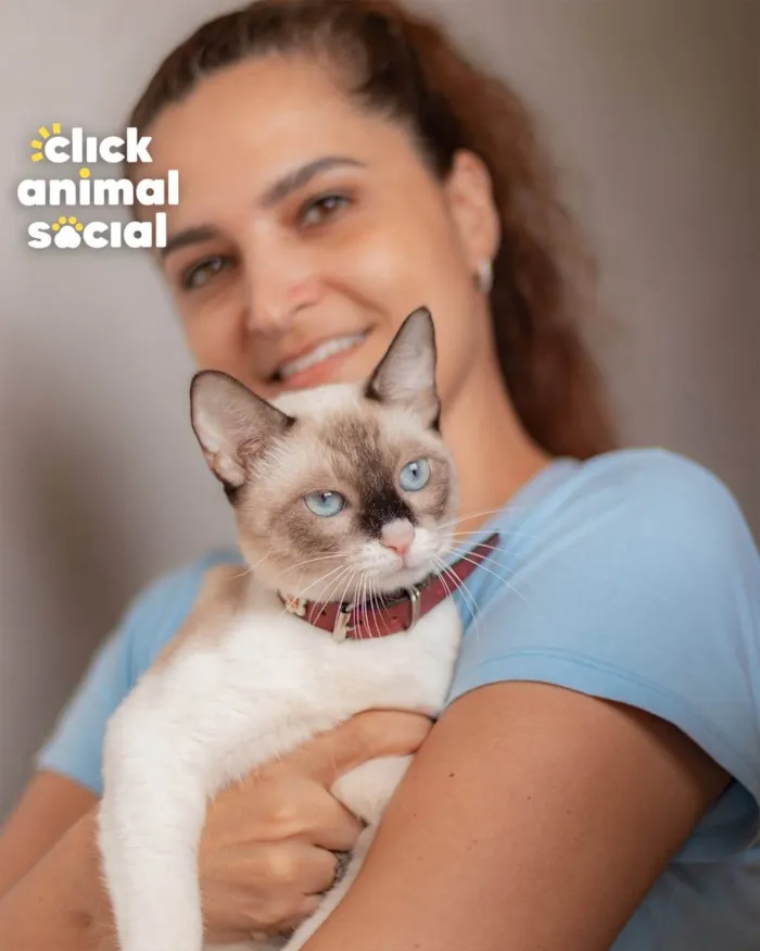 Gato ra a SRD-ViraLata idade 7 a 11 meses nome Mag
