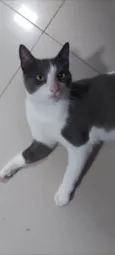 REX