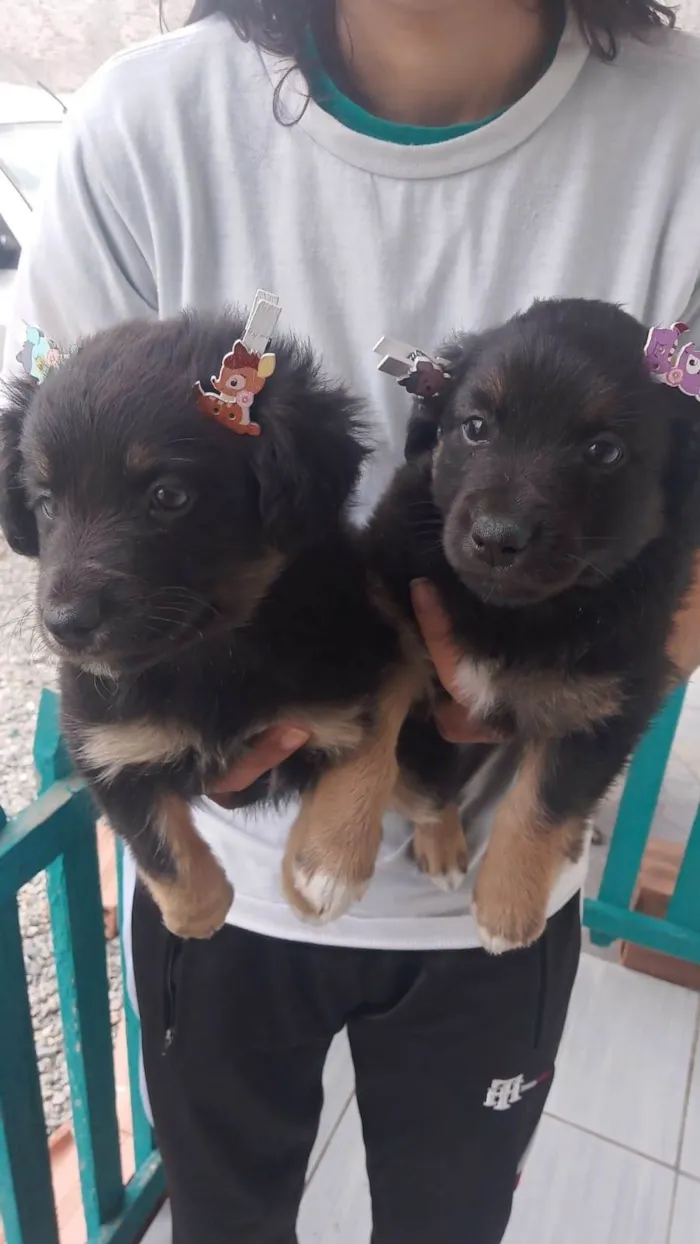 Cachorro ra a SRD-ViraLata idade Abaixo de 2 meses nome Jade