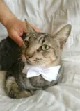 TONNY