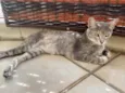 Magali