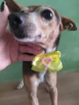 Lili 