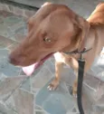 Braco 