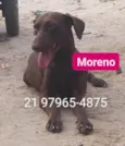 Moreno