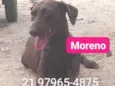 Moreno