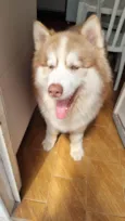 Ragnar