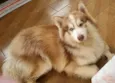 Ragnar