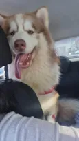Ragnar