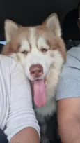 Ragnar