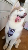 Ragnar