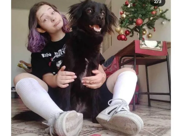 Cachorro ra a SRD-ViraLata idade 5 anos nome Lili